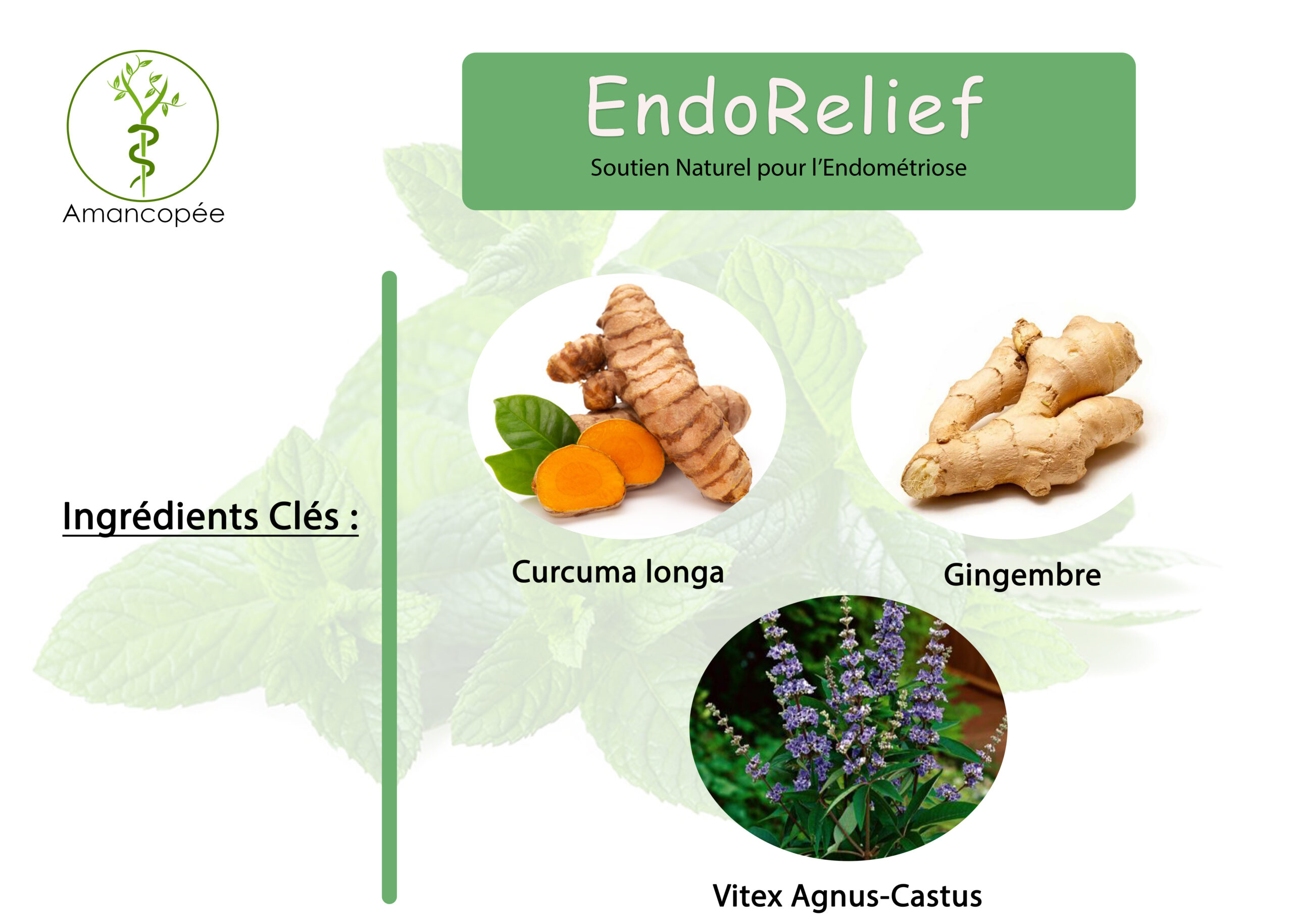 EndoRelief - Soutien Naturel pour l'Endométriose