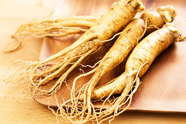 Le ginseng contre l'infertilité chez l'homme