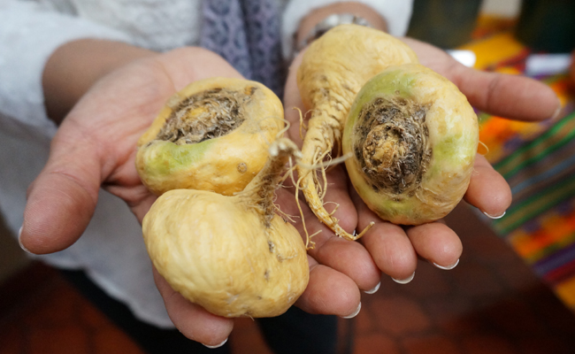 herbes de fertilité pour les femmes