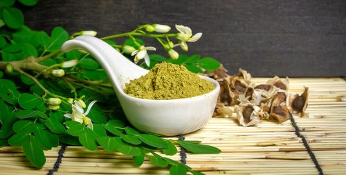 Article-Blog-Moringa-Naturoscience